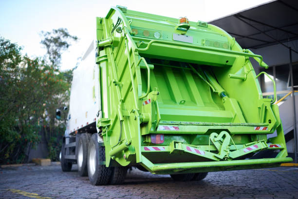 Basement Cleanout Services in Catalina, AZ